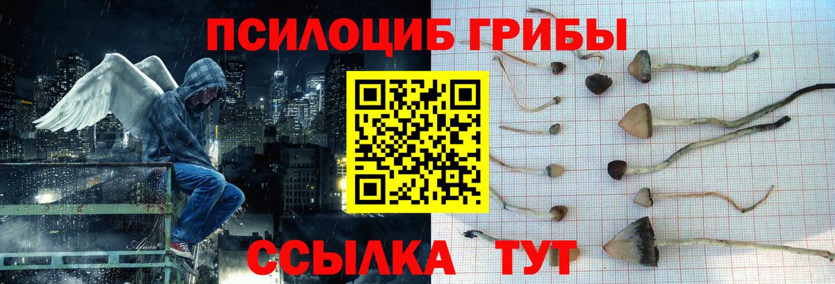 Галлюциногенные грибы Magic Shrooms  Вход с VPN  где можно купить наркотик  Санкт-Петербург  Галлюциногенные грибы GOLDEN TEACHER 